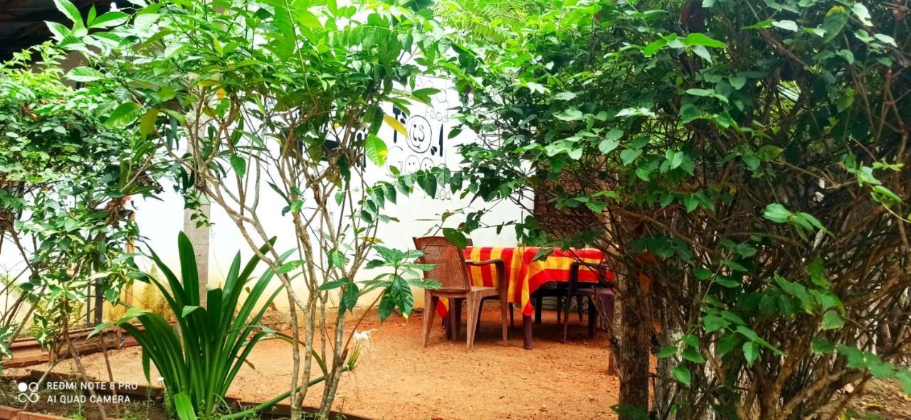 Sigiri Picaso Home Stay Sigiriya Exteriér fotografie