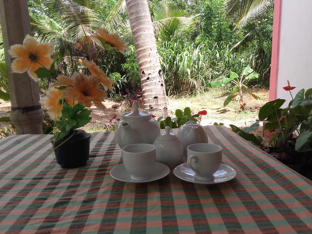 Sigiri Picaso Home Stay Sigiriya Exteriér fotografie