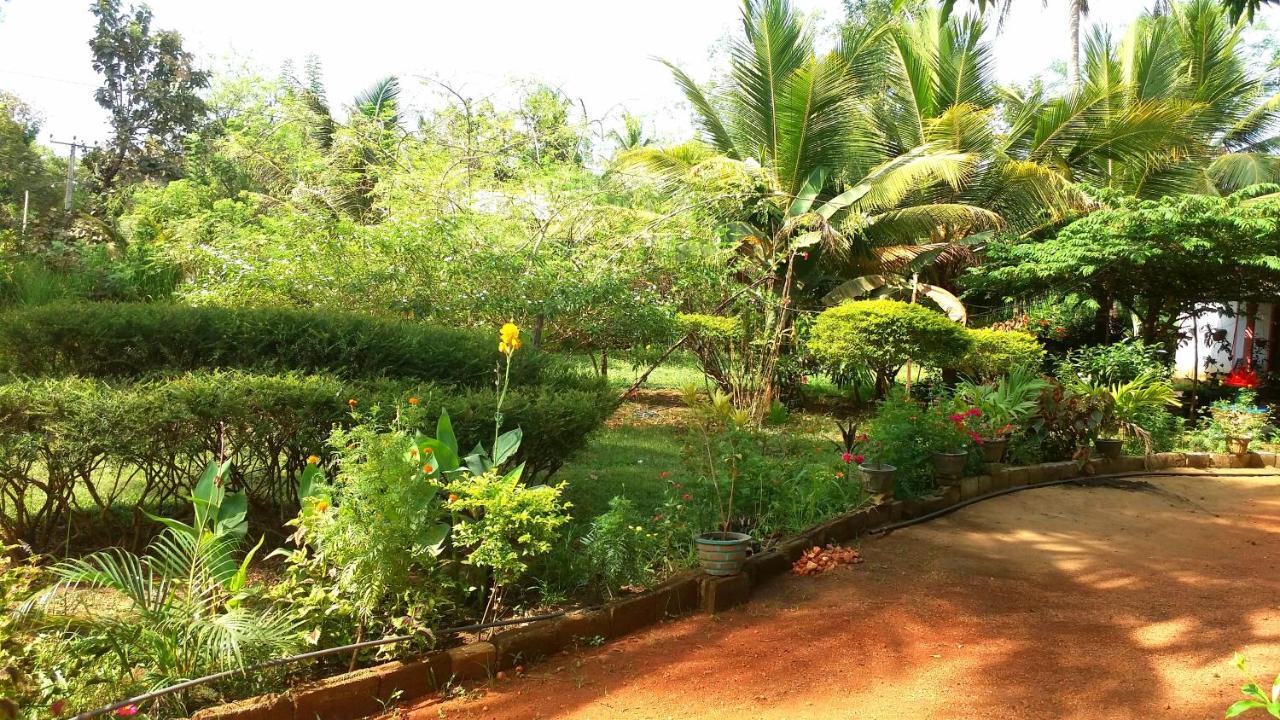 Sigiri Picaso Home Stay Sigiriya Exteriér fotografie