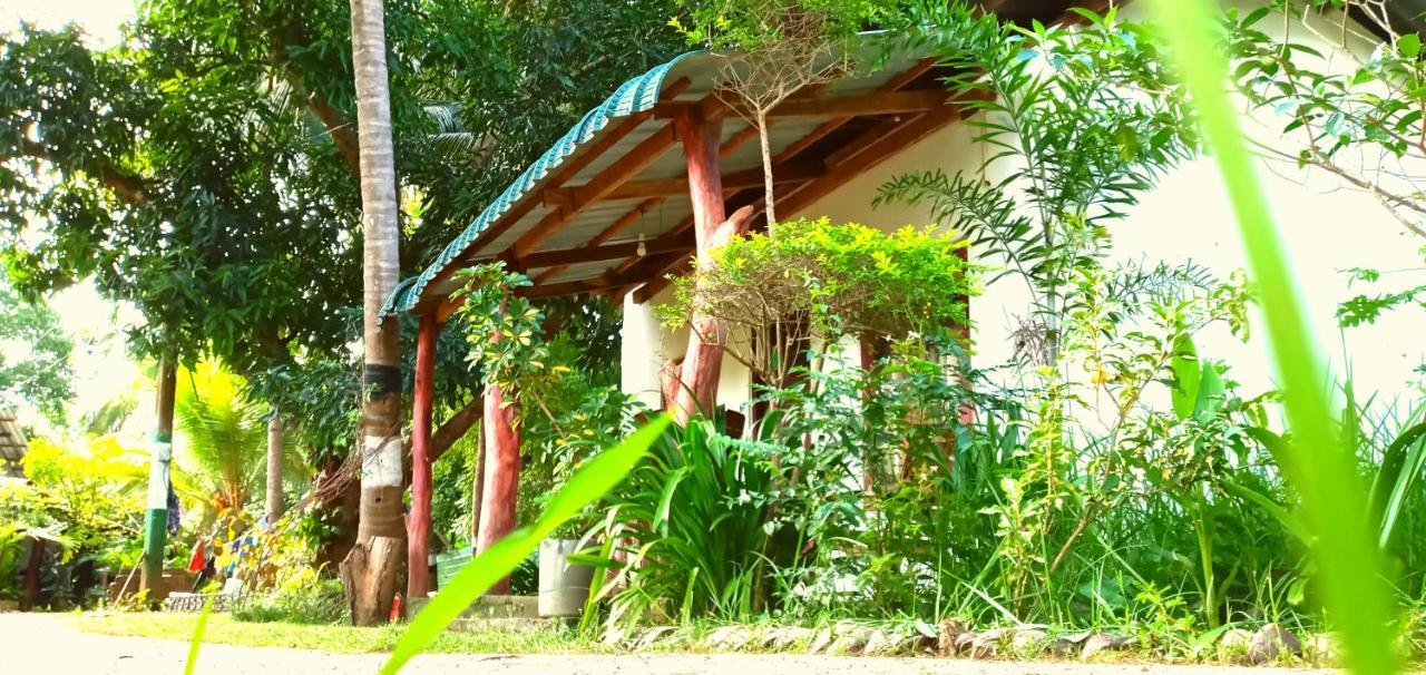 Sigiri Picaso Home Stay Sigiriya Exteriér fotografie