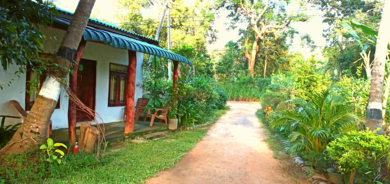 Sigiri Picaso Home Stay Sigiriya Exteriér fotografie